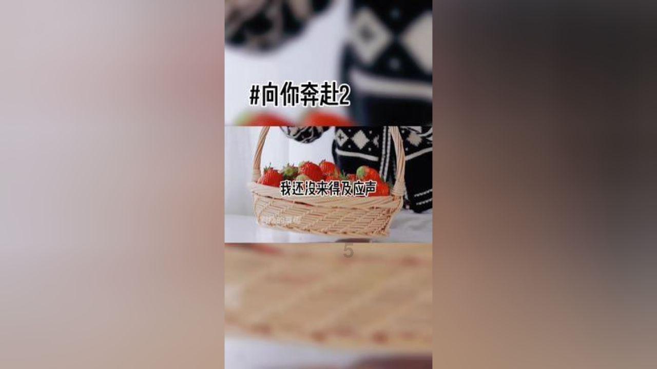 抓住工作重点 抓实关键环节推动东川经济社会发展取得新的更大成绩